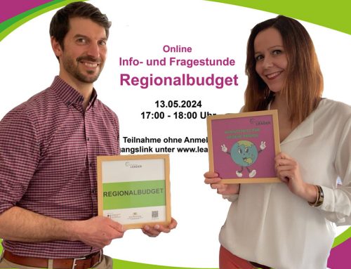 Online Info- und Fragestunde Regionalbudget